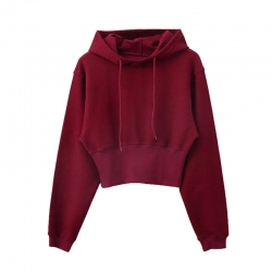 Crop Top Hoodie